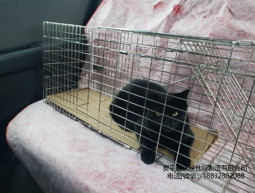 捕捉陷阱